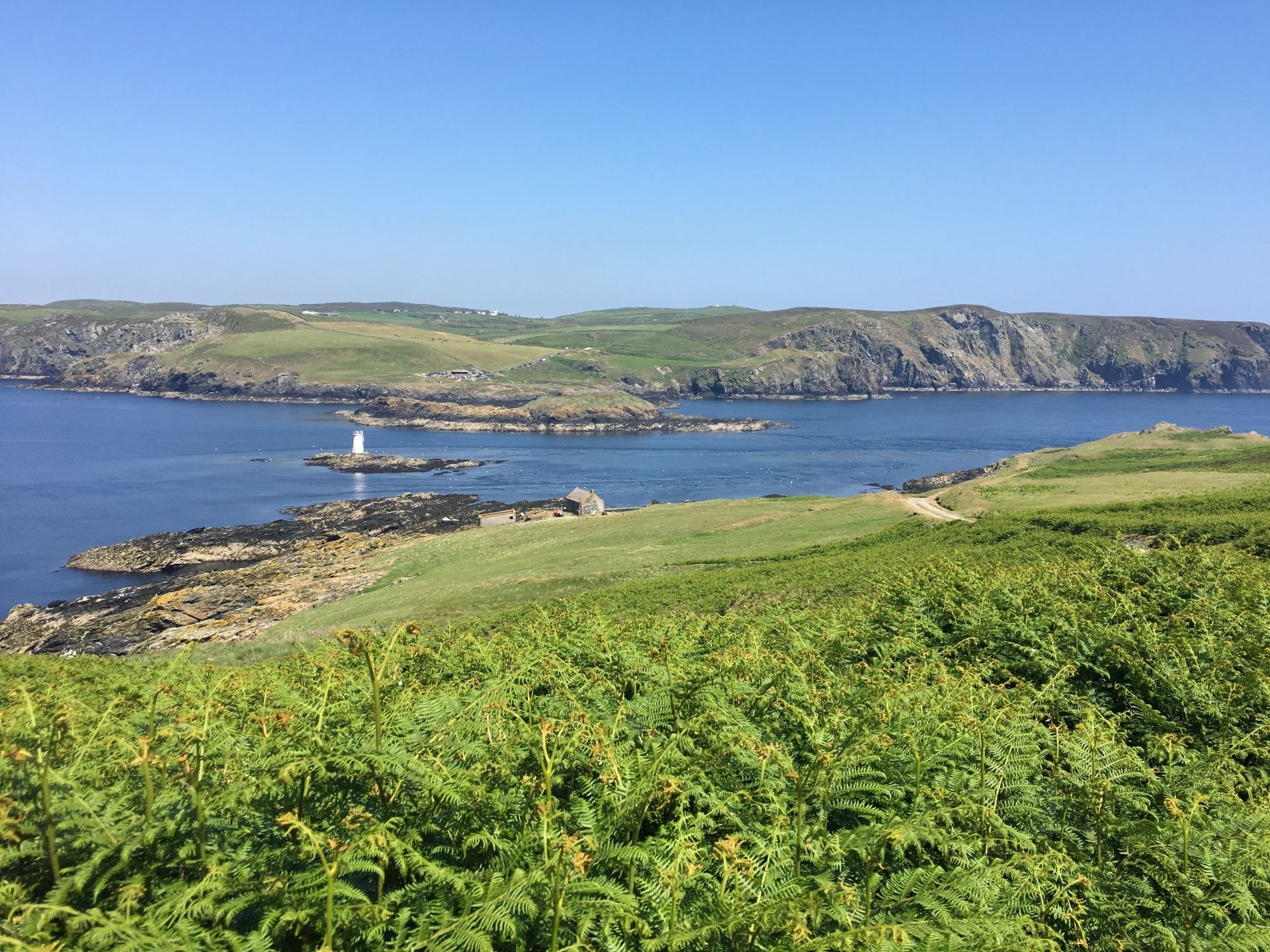 Calf of Man Bird Observatory - Self Cate